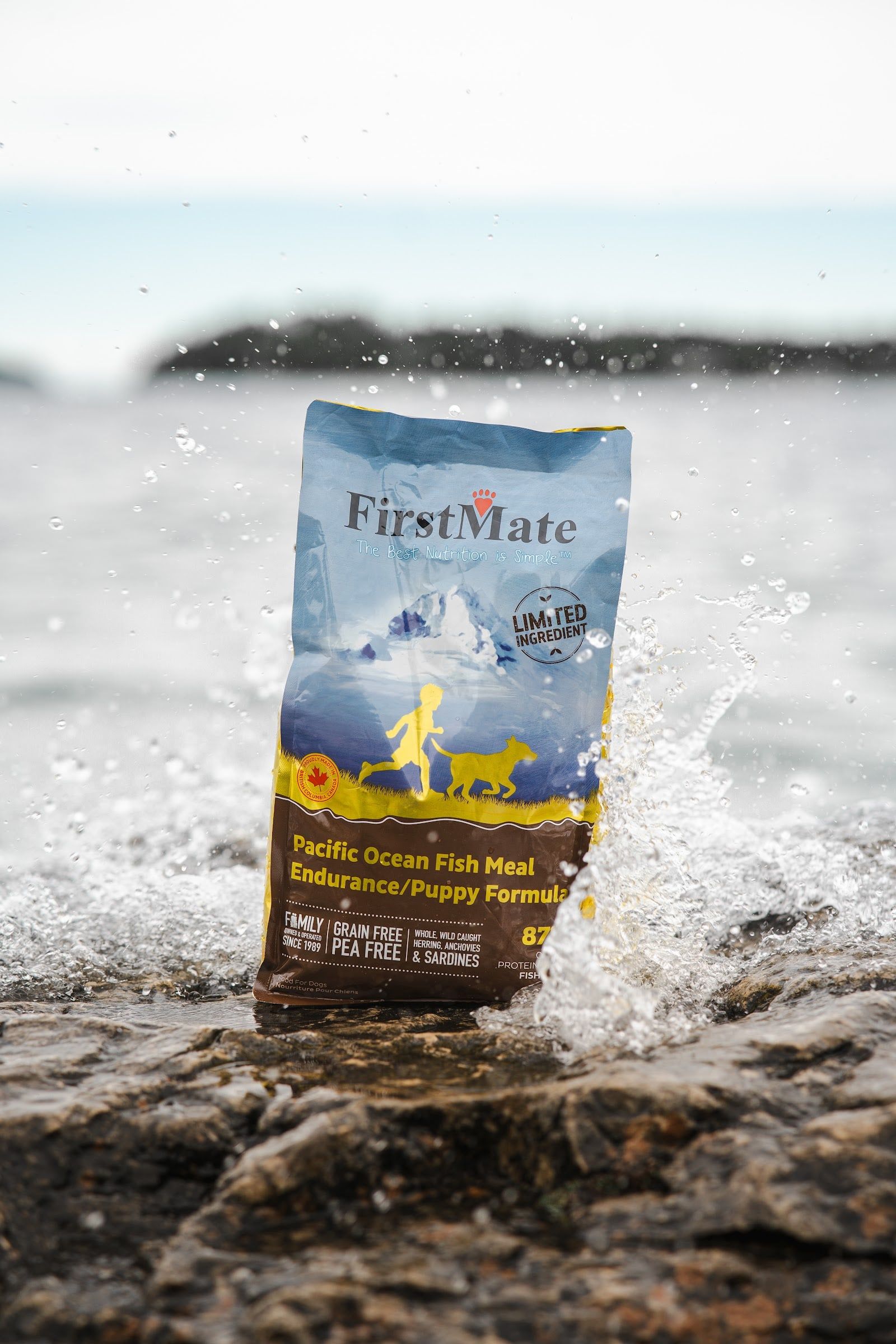 A bag of FirstMate Pacific Ocean Fish Endurance/Puppy stands on a rock by the sea, with water splashing around it