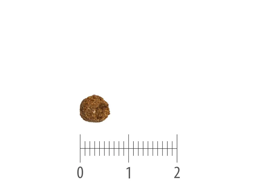 Pacific Ocean Fish Original Small Bites kibble above a ruler marked in centimetres and millimetres