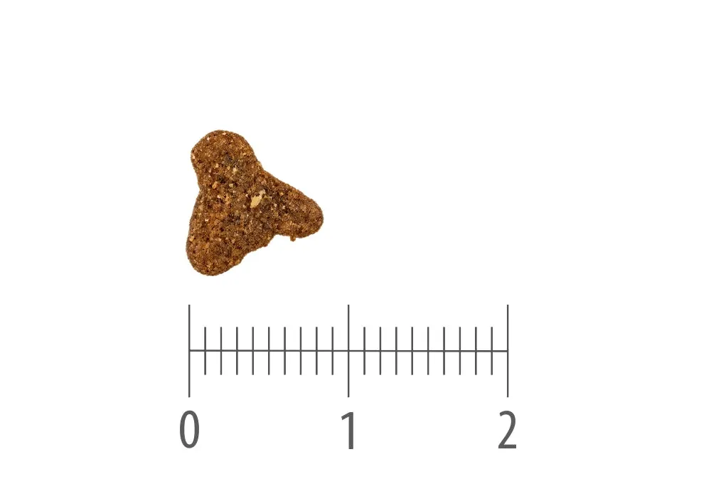 Pacific Ocean Fish With Blueberries Cat kibble above a ruler marked in centimetres and millimetres