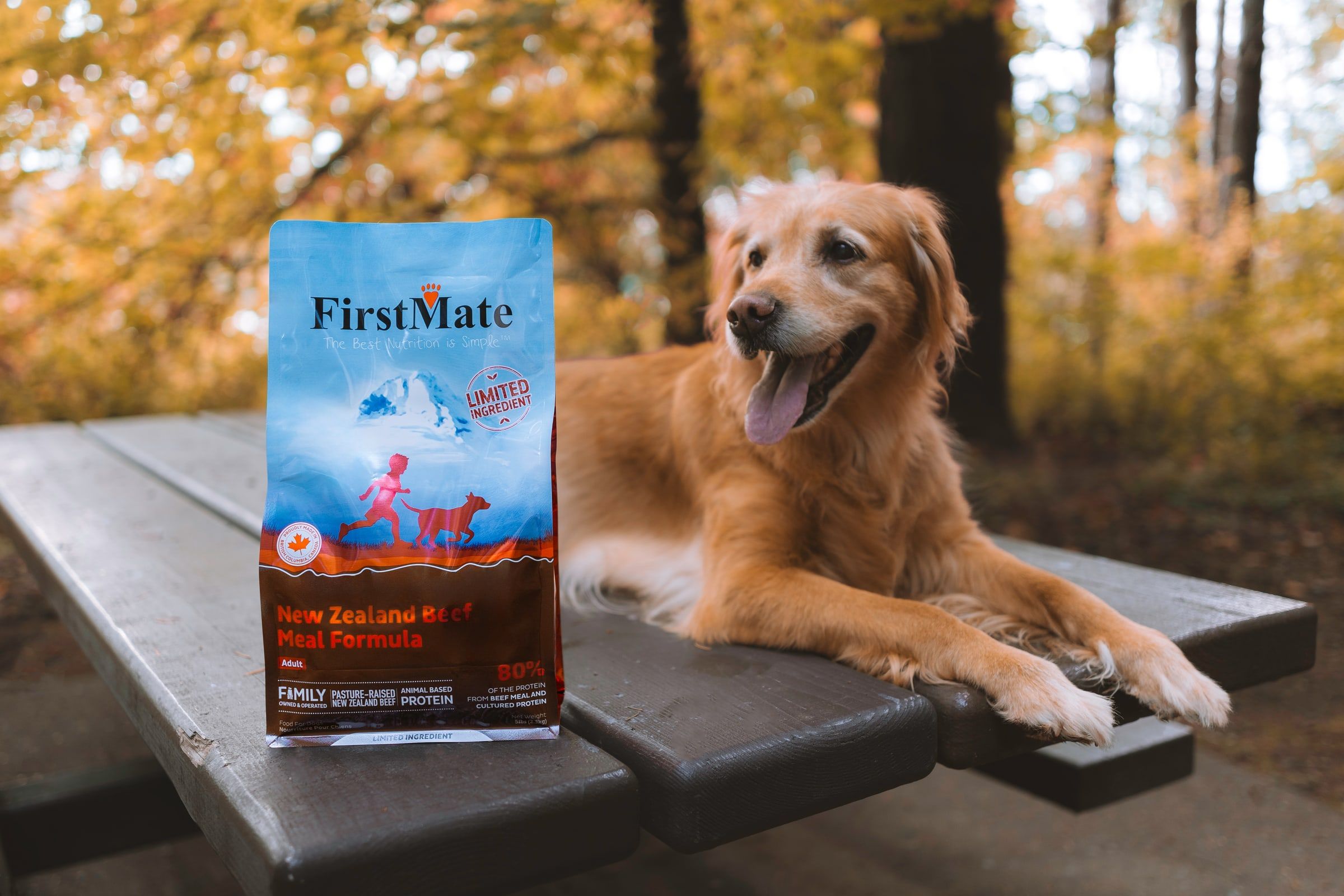 A golden retriever lies on a wooden table in an autumn forest next to a bag of FirstMate New Zealand Beef
