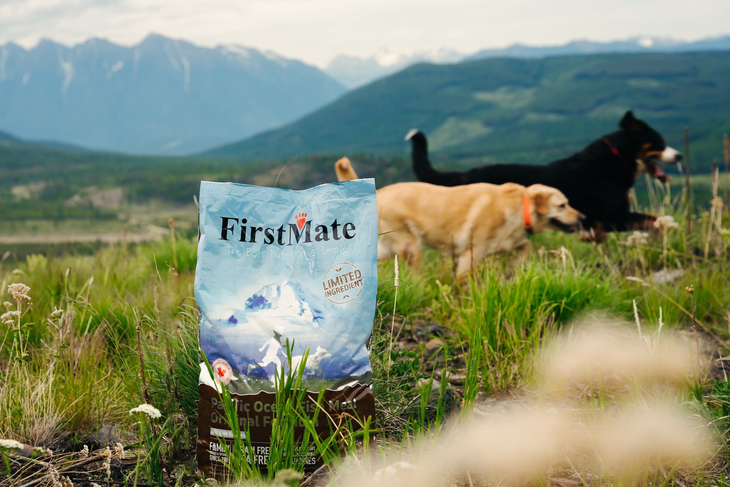 Two dogs in the grass of a mountain meadow, a bag of FirstMate Pacific Ocean Fish Original in front, mountains in the distance